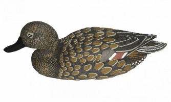 Чучело шилохвость плавающая (утка) BirdLand
