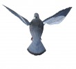 Чучело голубя машущего крыльями Sport Plast